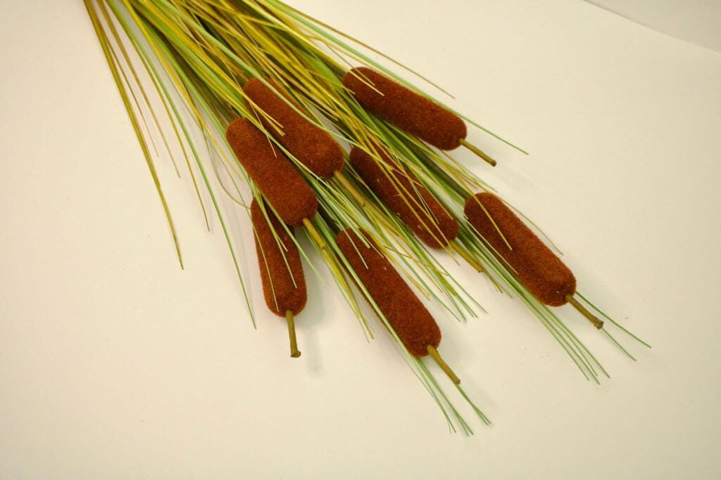 Vilkvālīte