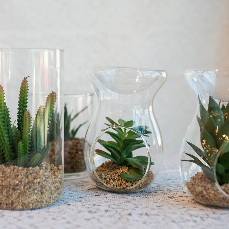 Stiklā KAKTUSS, liels